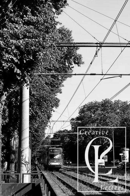 F aus der Oberleitung