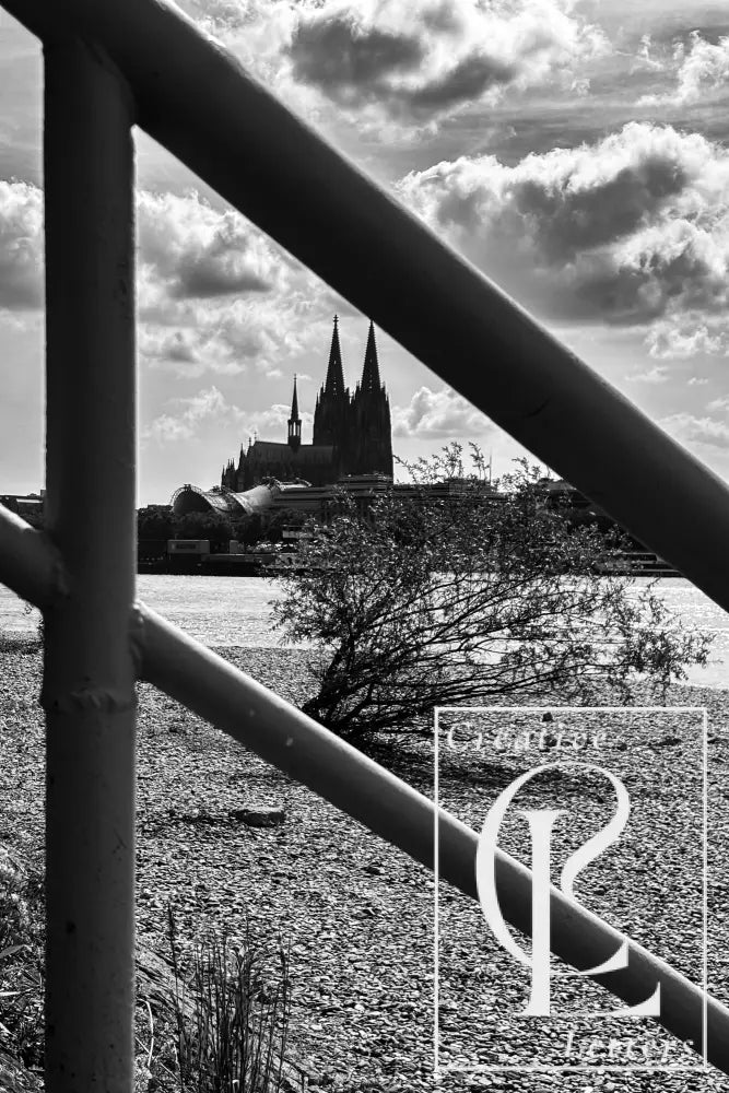 F mit Blick auf den Dom