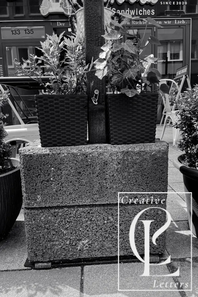 Ö mit BlumentÖpfen